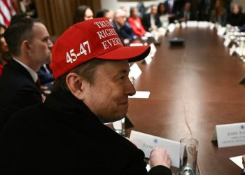 White House discloses who will lead DOGE efforts after Musk’s departure