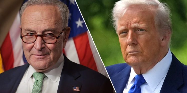 Schumer, Democrats plot coordinated resistance to Trump’s ‘one ugly bill’