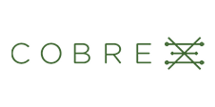 Cobre Limited