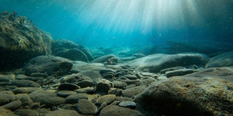 New Research on Deep-Sea Mineral Sources Reveals Ecological Importance