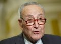 DAVID MARCUS: How Chuck Schumer finally reaped the whirlwind